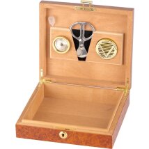 Humidor Wurzelholzdekor