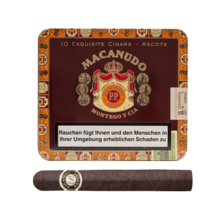 MACANUDO Maduro Ascots