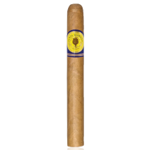 SANTA DAMIANA Classic Corona