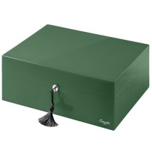 Caseti Humidor Paris grün